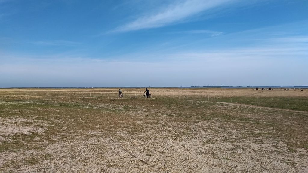 Schmale Pfade auf dem Gellen / Hiddensee