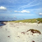 Der einsame aber traumhafte Strand bei Neuendorf Der einsame aber traumhafte Strand bei Neuendorf / Hiddensee
